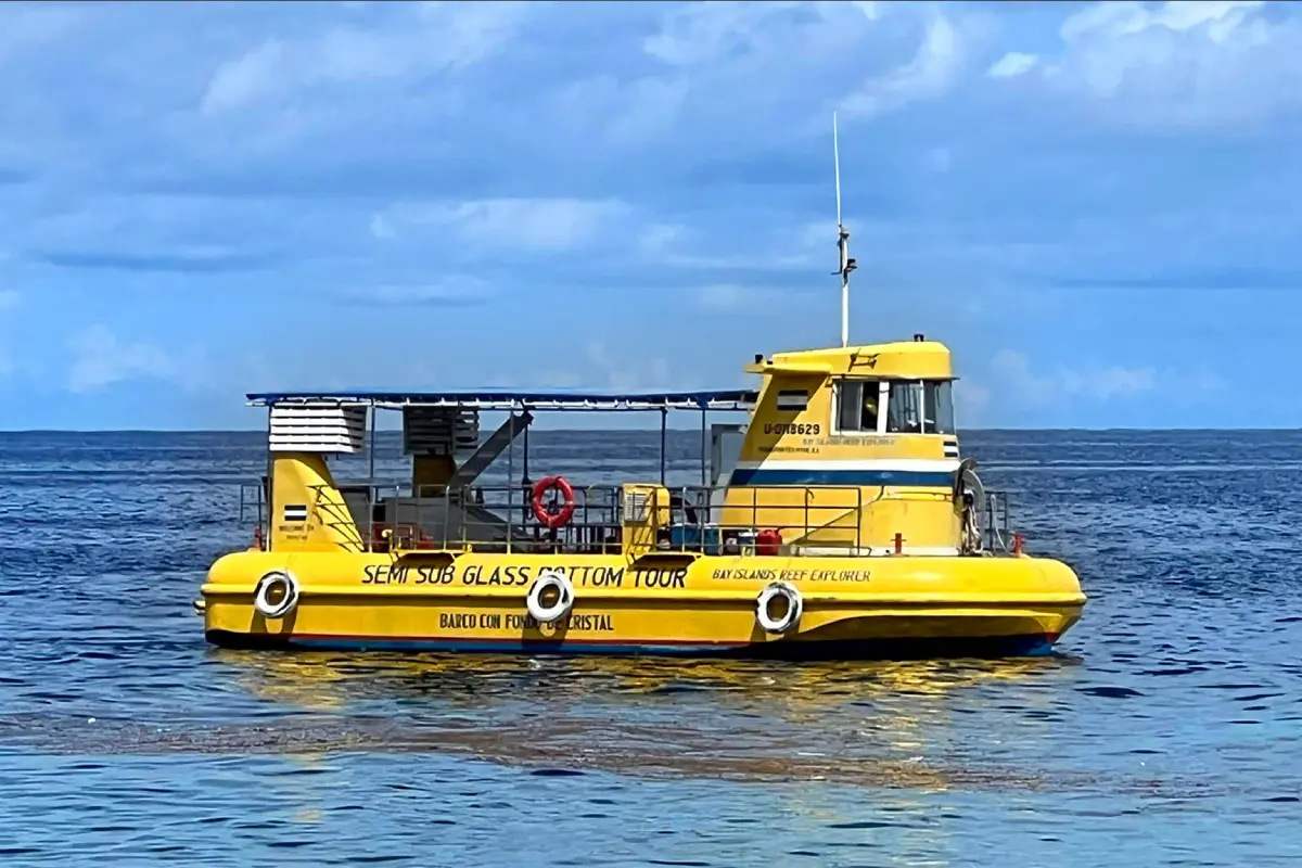 Roatan Jungle Mike Tours Glass Bottom Boat