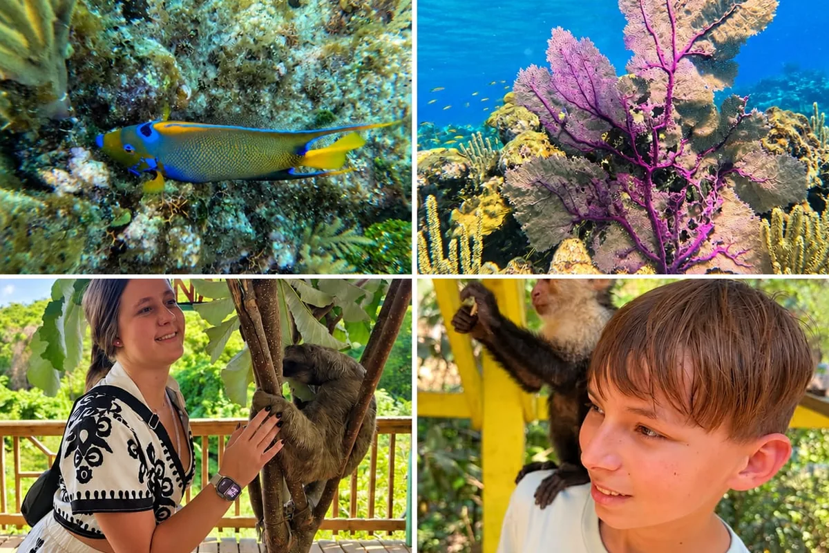 Roatan 2 stop snorkeling plus monkey and sloth tour: a colorful reef fish and sea fan, a guest with a sloth and a boy with a capuchin monkey