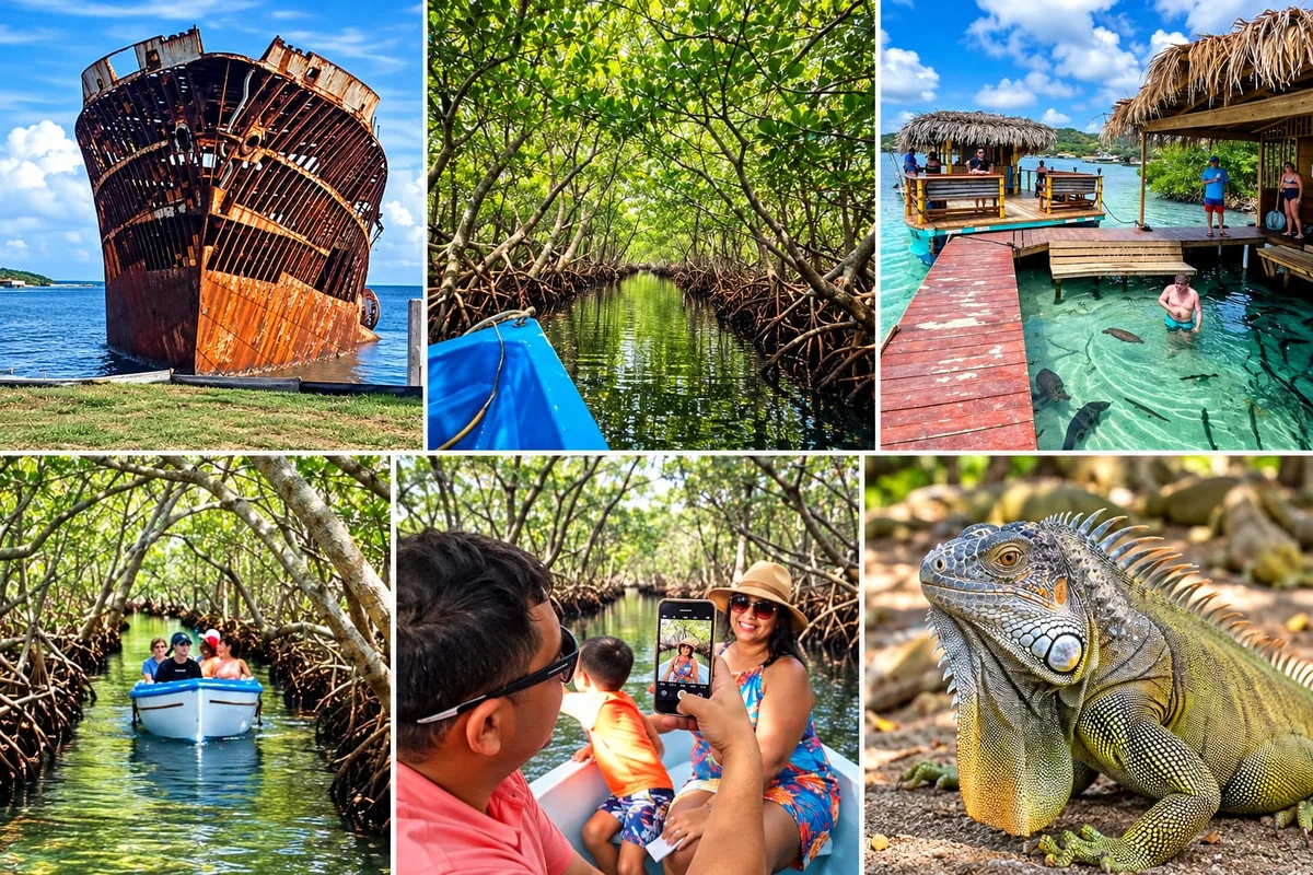 Roatan mangrove tunnel and iguana farm tour: a rusty shipwreck, a boat through the mangrove channels, a thatched-roof pier and a green iguana