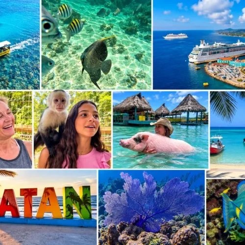 Roatan monkey, sloth and snorkeling tour: a glass bottom boat over the reef, tropical fish, guests with capuchin monkeys, the cruise port and the Roatan sign at sunset