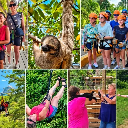 Roatan zipline, monkey and sloth tour: guests in harnesses and helmets, a sloth in a tree, ziplining over the jungle and a visitor with a capuchin monkey