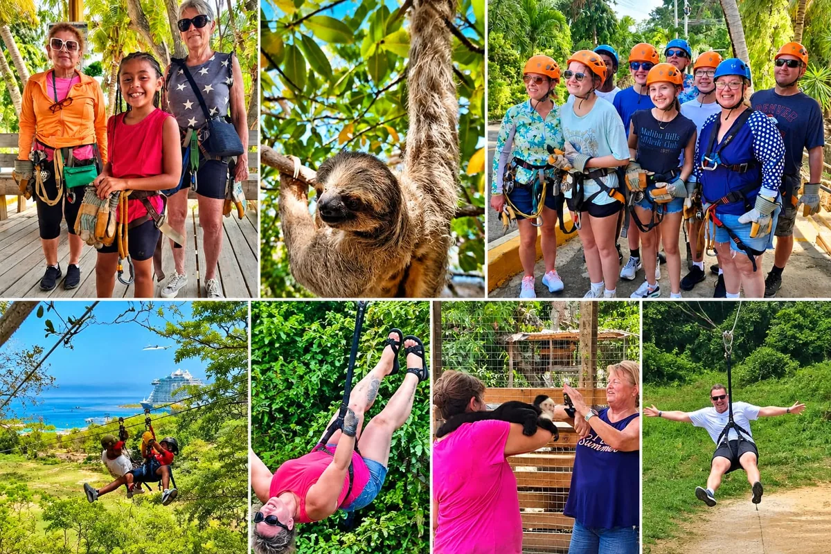 Roatan zipline, monkey and sloth tour: guests in harnesses and helmets, a sloth in a tree, ziplining over the jungle and a visitor with a capuchin monkey