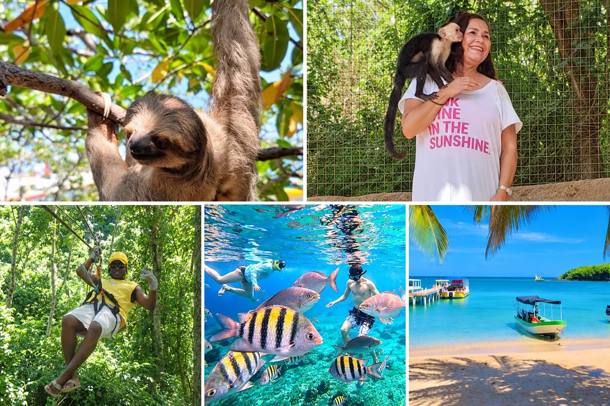 Roatan sloths, monkey, zipline and snorkeling tour: a sloth, a capuchin monkey, a zipline through the jungle, guests snorkeling with colorful fish and a beach with boats
