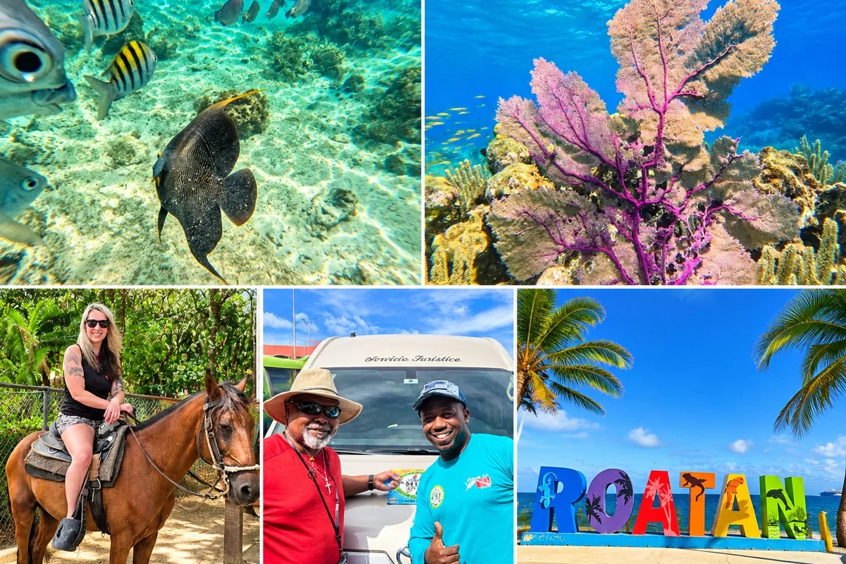Roatan snorkeling and horseback riding tour: reef fish and a purple sea fan, a guest riding a horse, a friendly guide by the tour van and the Roatan sign